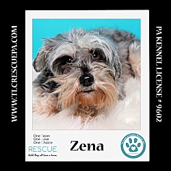 Thumbnail photo of Zena (Bonded Pair with Sweet Pea) 030224 #3