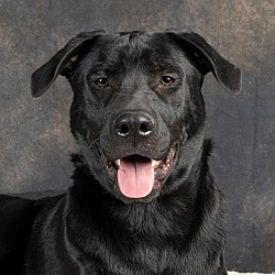 Photo of MACK