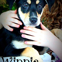Thumbnail photo of Winnie ~ meet me! #2
