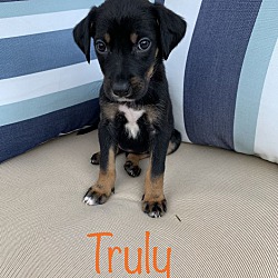Photo of Truly