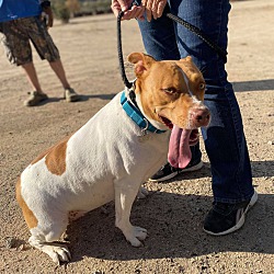 Photo of SANDY