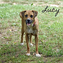 Thumbnail photo of Lucy Ann~adopted! #3