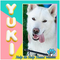 Photo of Yuki