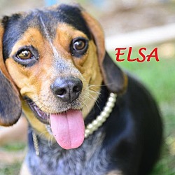 Thumbnail photo of ELSA #1