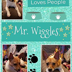 Photo of Mr Wiggles