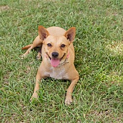 Thumbnail photo of Addie #2