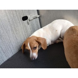 Photo of SLEEPING BEAUTY