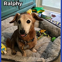 Thumbnail photo of Ralphy #2