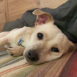 Photo of Lovely Brady