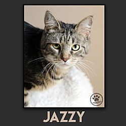 Photo of Jazzy
