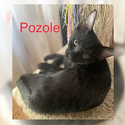 Photo of Pozole