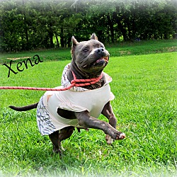 Thumbnail photo of Xena~Video~New pics! #4