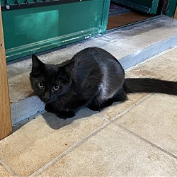 Photo of Cynderr