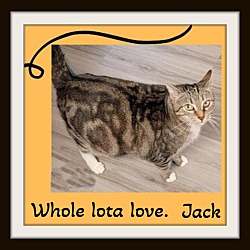 Thumbnail photo of Jack & Jill - Whole lota a Lov #2