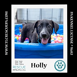 Photo of Holly (Summer Loves) 062924