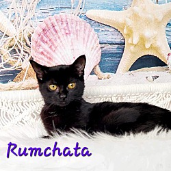 Thumbnail photo of Rumchata #1