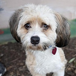 Photo of FURFROU