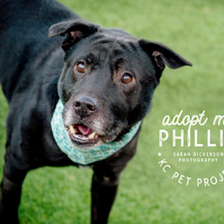 Photo of Phillip