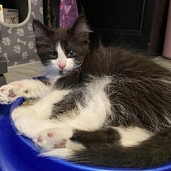 Photo of Mable