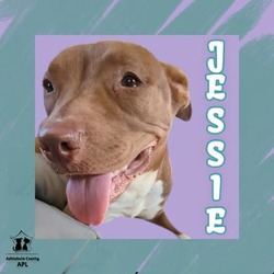 Thumbnail photo of Jessie #1