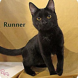 Thumbnail photo of Runner #1