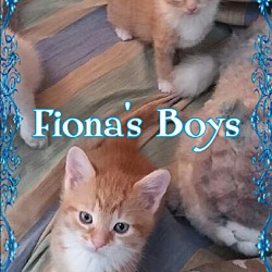 Photo of Fiona's Boys