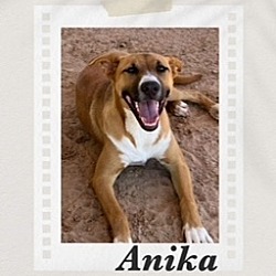 Thumbnail photo of Anika #1