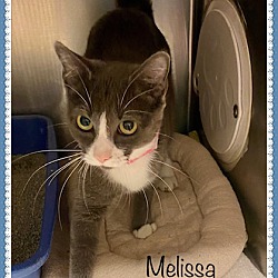 Thumbnail photo of MELISSA #2