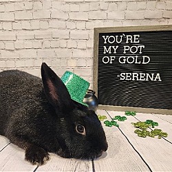 Photo of Serena
