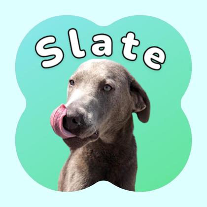 Photo of Slate