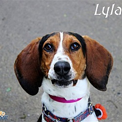 Thumbnail photo of Lyla #2