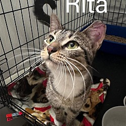 Photo of Rita Willow Grove PA (FCID 05/09/2024-131)