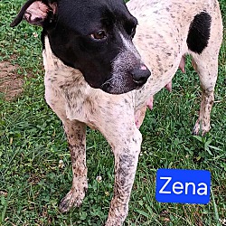 Photo of Zena