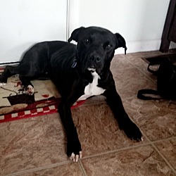 Photo of Carter