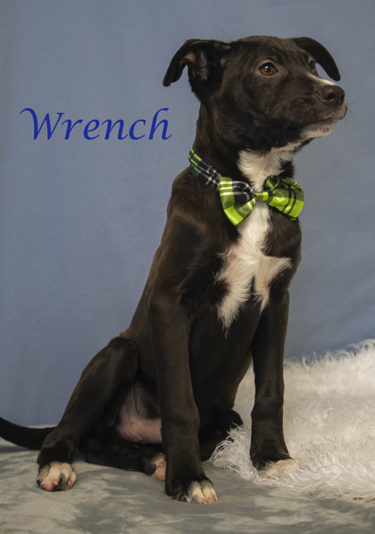 Photo of Wrench (D24-012)