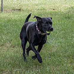 Thumbnail photo of Momma “Iris” #3
