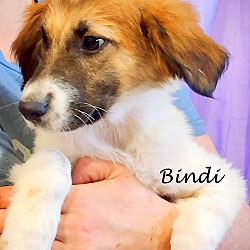 Thumbnail photo of Bindi ~ meet me! #2