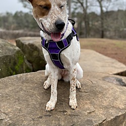 Photo of Bayli