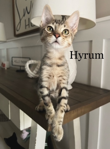 Photo of Hyrum
