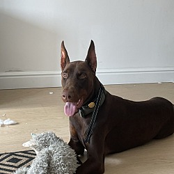 Photo of Jocko