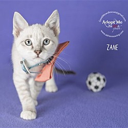 Thumbnail photo of Zane #2