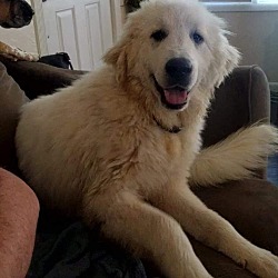 Photo of Aspen