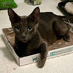 Photo of Echo
