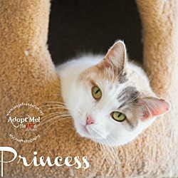 Thumbnail photo of Princess #1