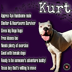 Thumbnail photo of Kurt #1