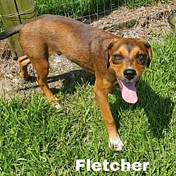 Thumbnail photo of Fletcher Clark #3