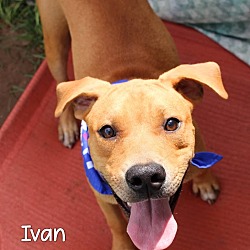 Thumbnail photo of Ivan #1