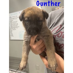 Photo of Gunther