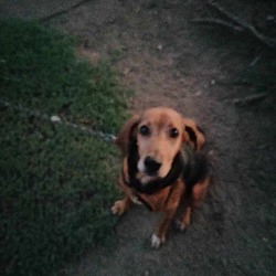 Photo of Thor
