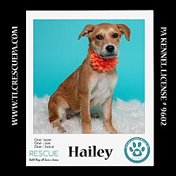 Thumbnail photo of Hailey (Summer Loves) 062924 #1